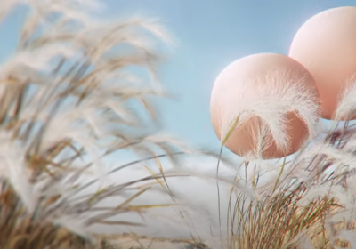 La consommation en folie : Une publicité au poil !