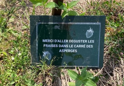 Clin d&rsquo;œil de l&rsquo;été !