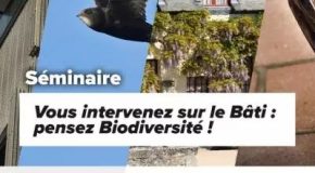 France Nature environnement : séminaire bâti et biodiversité