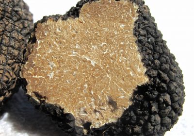 Truffes, foie gras, girolles…l&rsquo;effet de halo