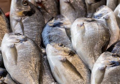 Poisson : entier ou en filets ?