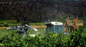 PestiRiv : quand les pesticides s’invitent chez les riverains des vignes