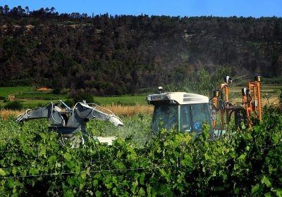 PestiRiv : quand les pesticides s’invitent chez les riverains des vignes