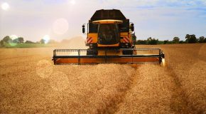 Du cadmium au petit-déjeuner, entre autres